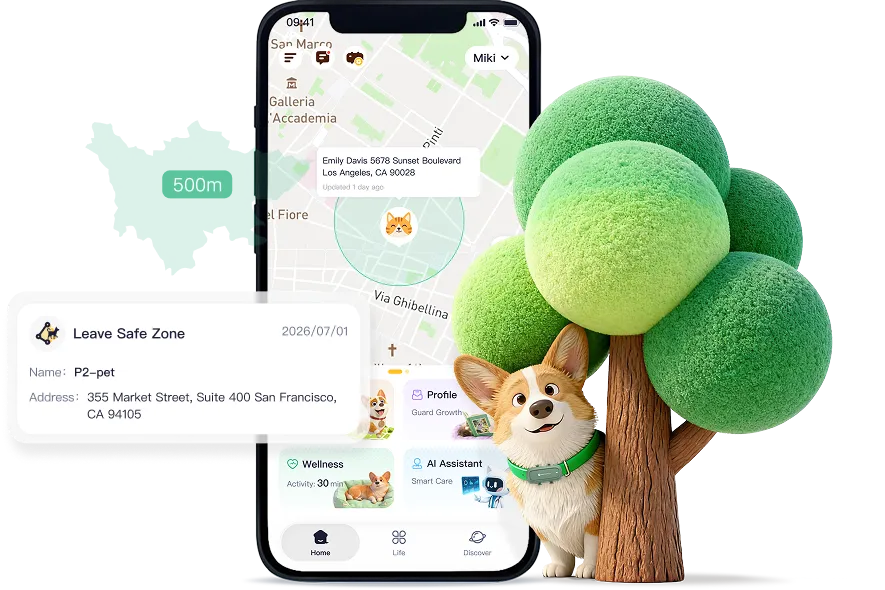 Smart Boundaries, Precision Tracking