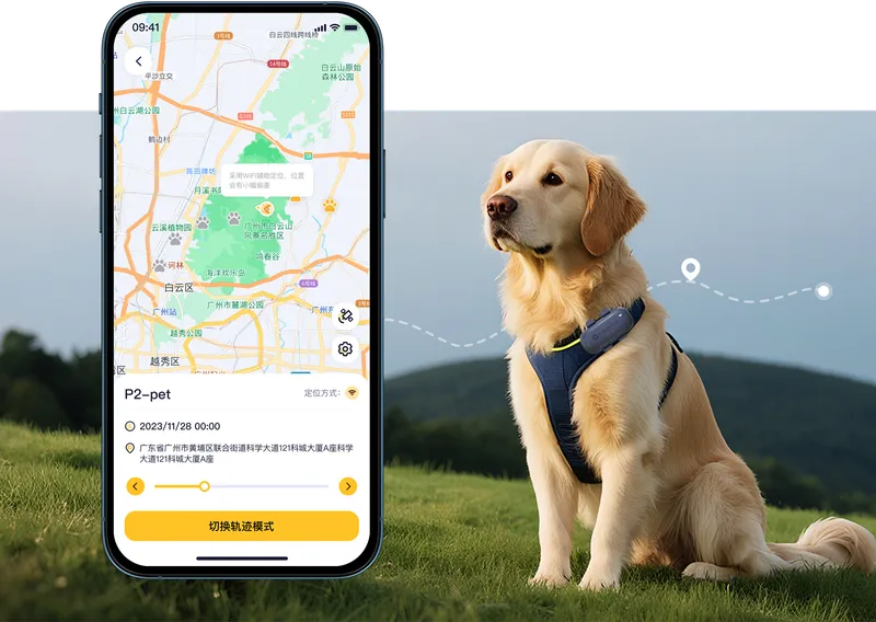 Lost pet tracking scene