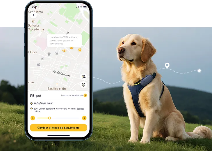 Lost pet tracking scene